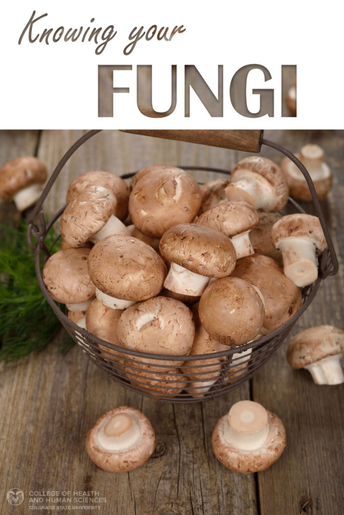 Mushroom graphic