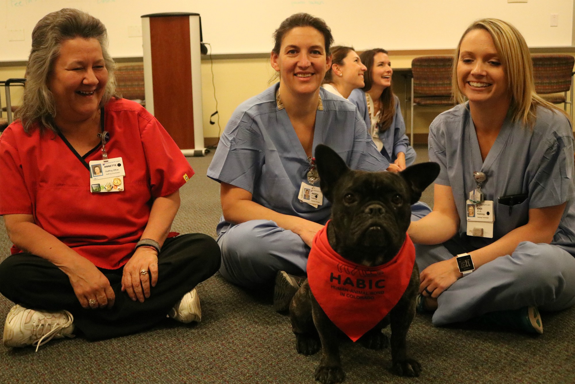 Gift boosts animal-assisted therapy research and education at CSU - College  of Health and Human Sciences