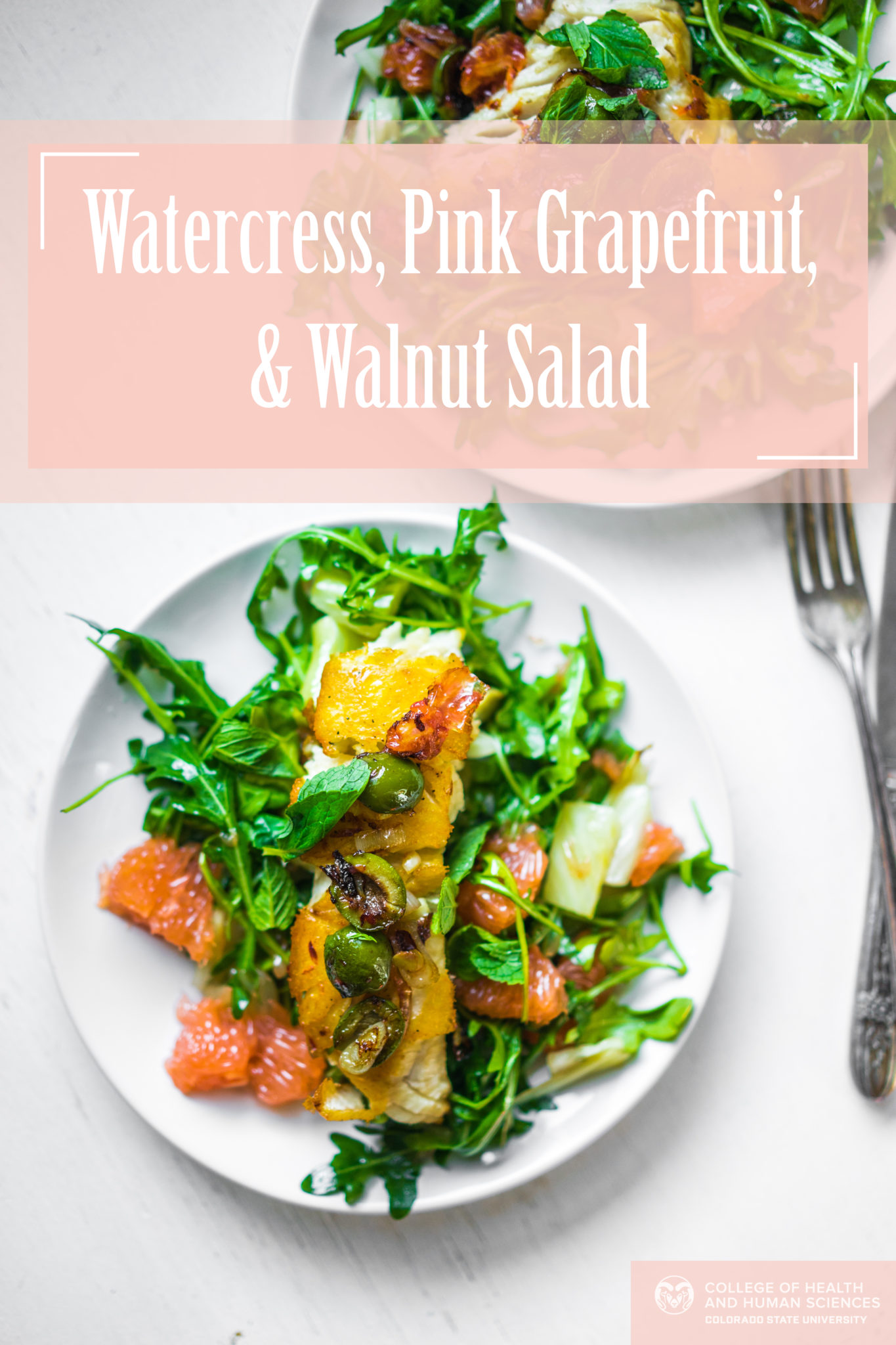 Watercress salad graphic