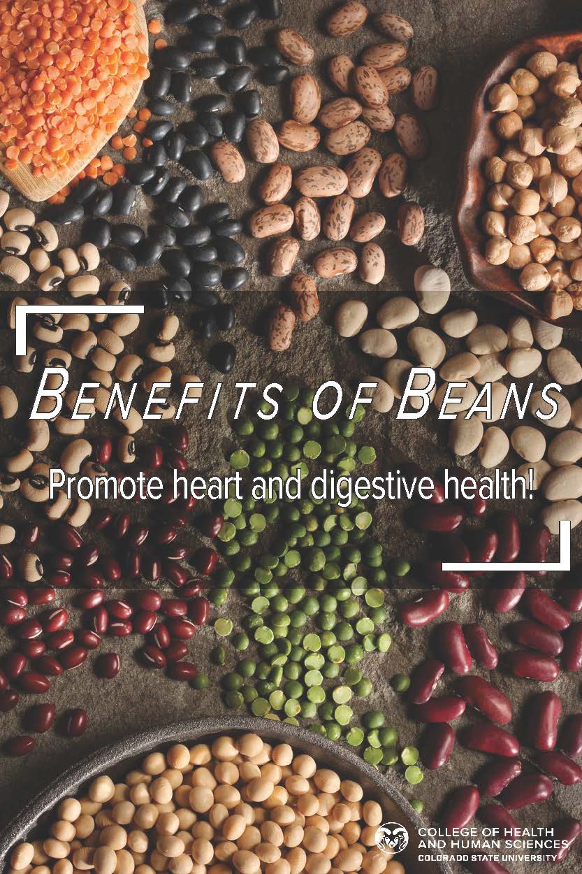 What Are The Benefits Of Beans College Of Health And Human Sciences