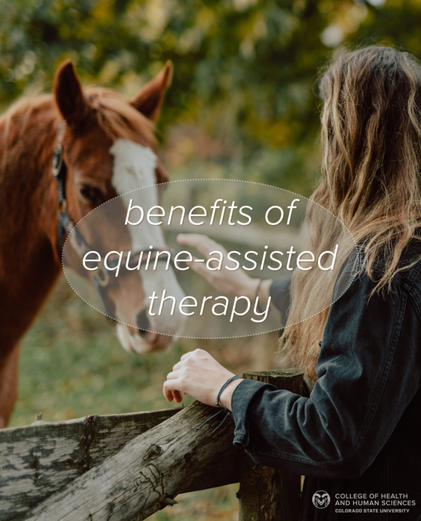 Benefits of equine assisted therapy for at risk youth College of