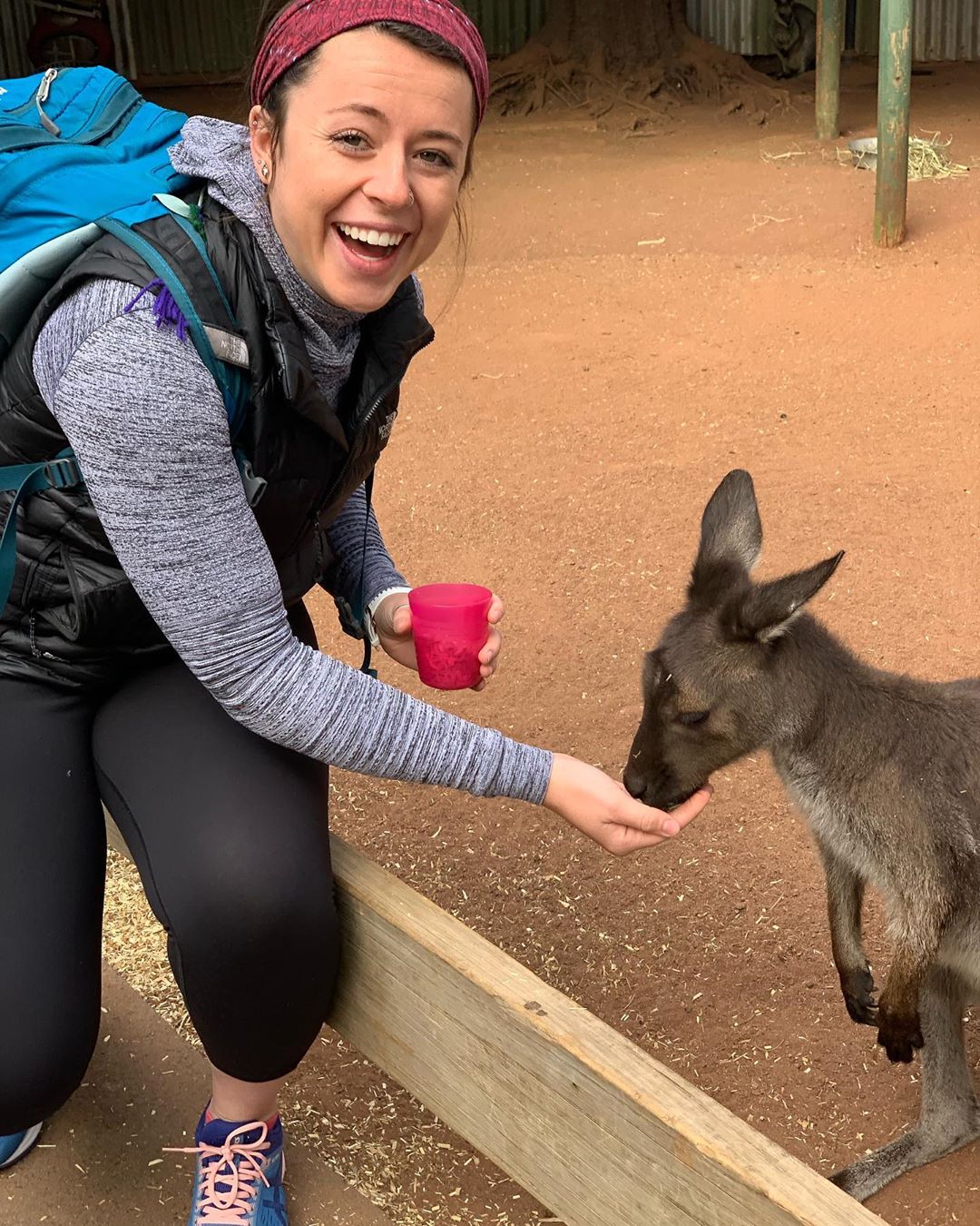 Phaelan Mead feeds a kangaroo.