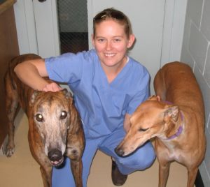 Anne Welch kneeling next to two hound dogs in blue scrubs.