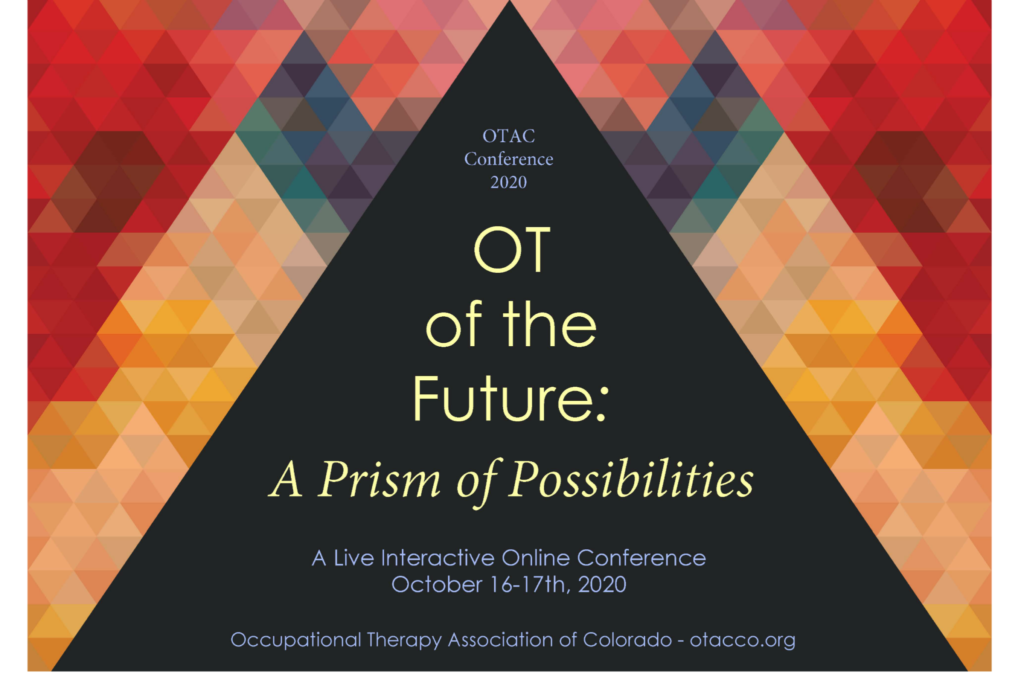Department of Occupational Therapy makes valuable connections during