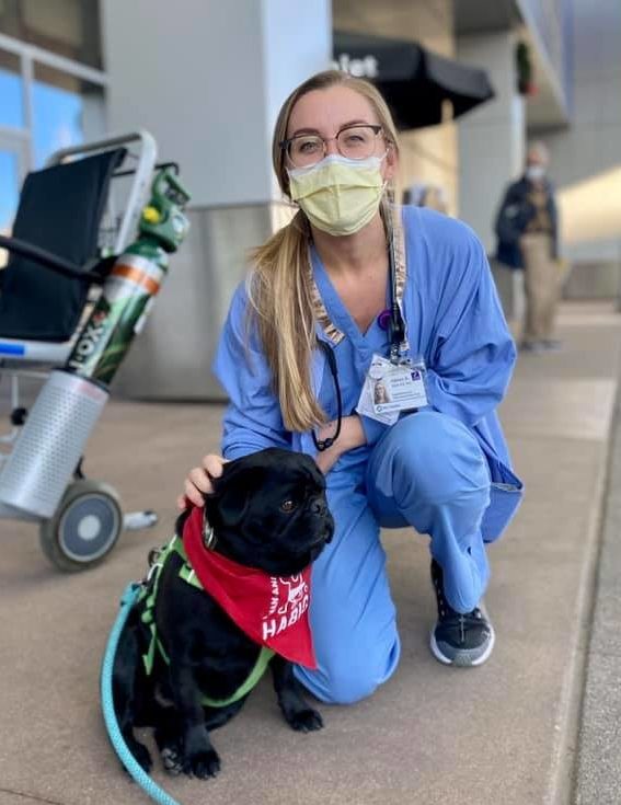 healthcare worker with HABIC dog fitz