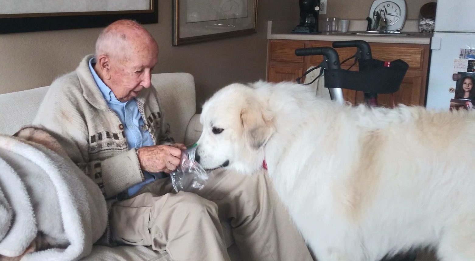 human-animal bond in colorado therapy dog