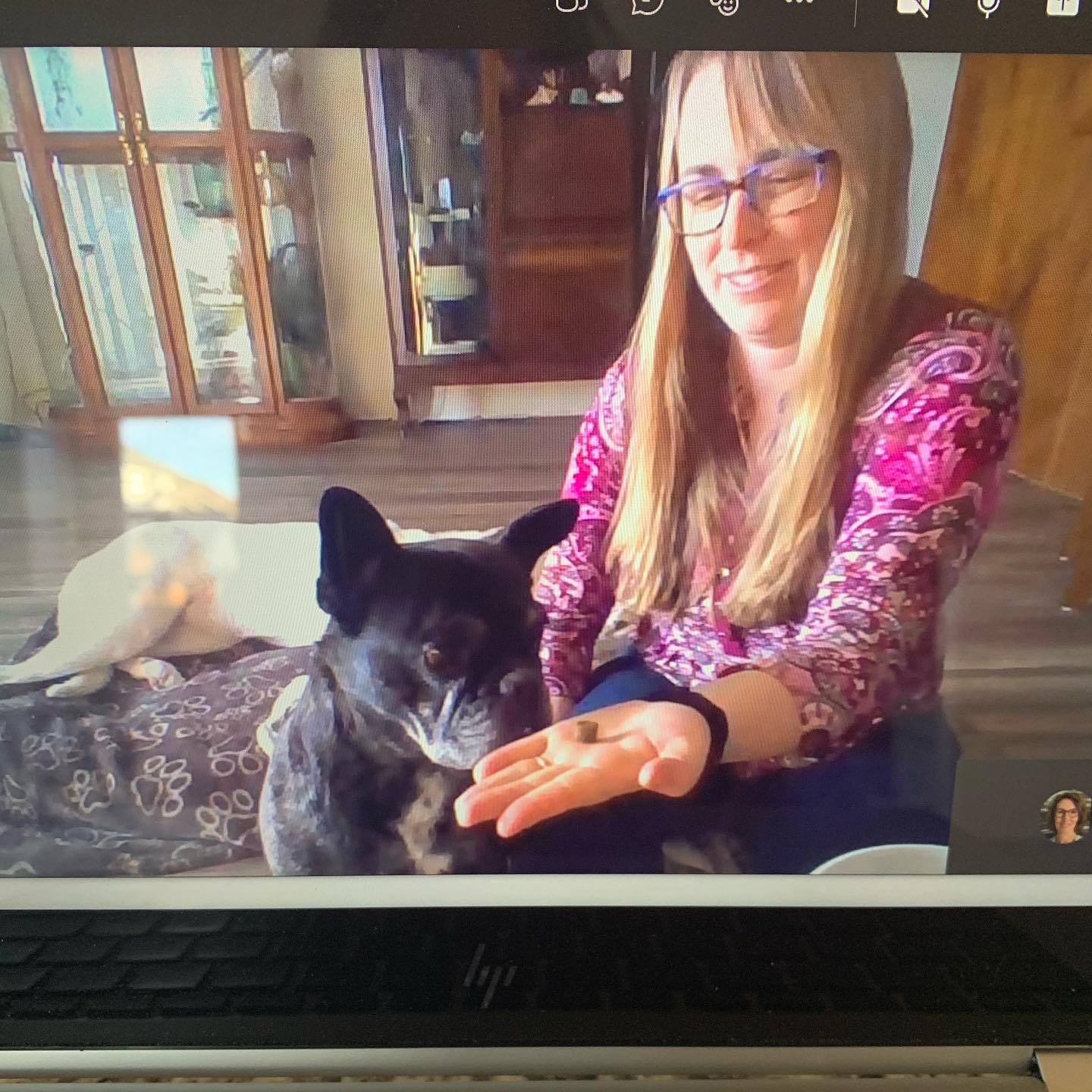 human-animal bond in colorado dog therapy team doing a virtual visit with a school