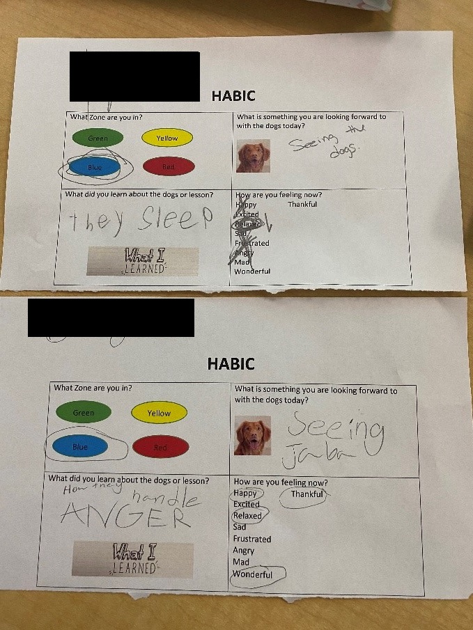worksheets from students participating in virtual habic therapy dog visits