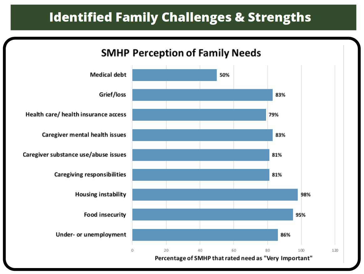 Chart of family needs