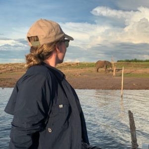 Student looking at an elephant