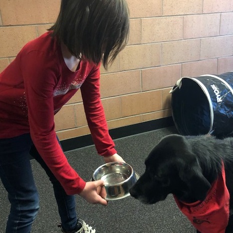 student working with habic therapy dog lacy