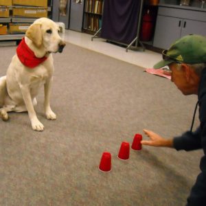 habic volunteer wayne boyles doing the cups training exercise with his therapy dog rex