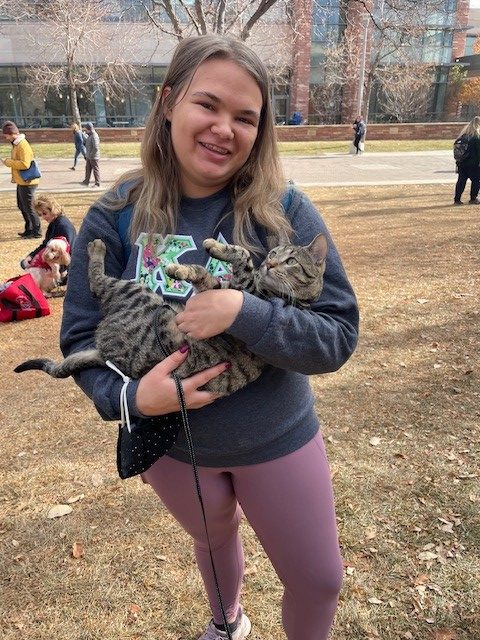 kiko the habic therapy cat with a student at a campus de-stress event at colorado state university