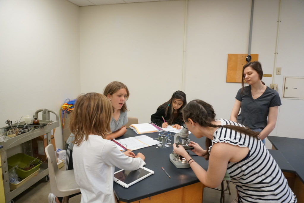 Students use microscopes in the textile sciences portion of Fashion FUNdamentals.