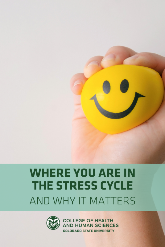 Person squeezing yellow smiley face stress ball with words "where are you in the stress cycle and why it matters" overlaying the image along with the College of Health and Human Sciences logo.