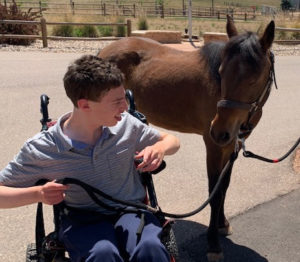 Individual in a wheelchair holding the reins of a young horse during hippotherapy