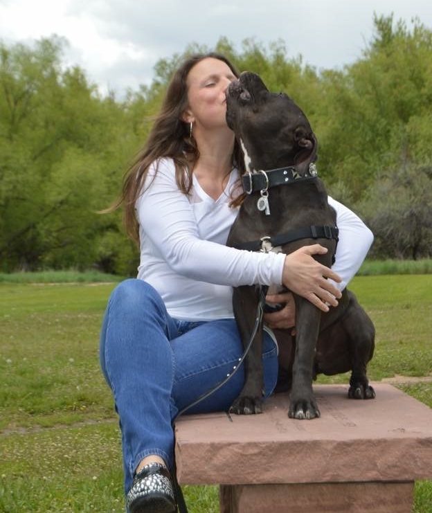 human-animal bond in colorado volunteer team posing together on a stone bench in summer with green trees in the background. the dog, a dark grey pit bull, is giving the woman a kiss and she is hugging him and smiling
