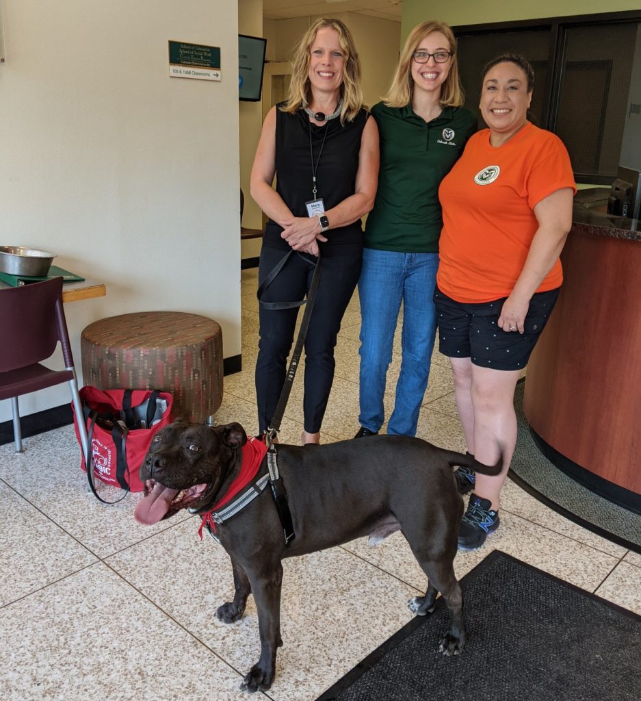volunteer team from the human-animal bond in colorado program pose with employees from csu's school of social work. the humans a smiling and the dog, a pit bull with a broad head and tongue out, looks like he is smiling too
