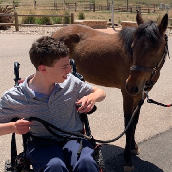 Young man in a wheelchair holding onto the reins of a horse