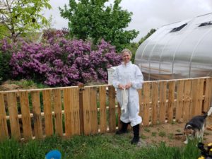 A woman in a bee-keeping outfit stands near a greenhouse and blooming lilacs