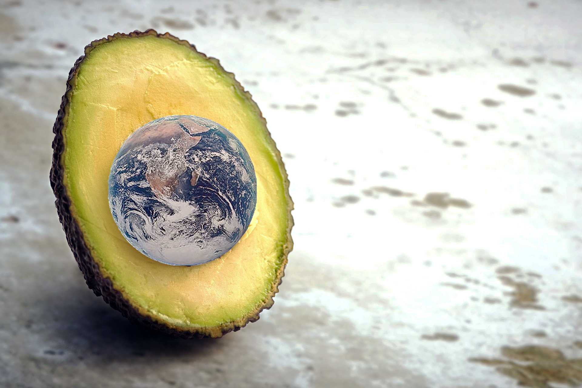 A photo of Earth is superimposed as the pit of an avocado, which are described as 'water hogs' by CSU's Jeffrey Miller.