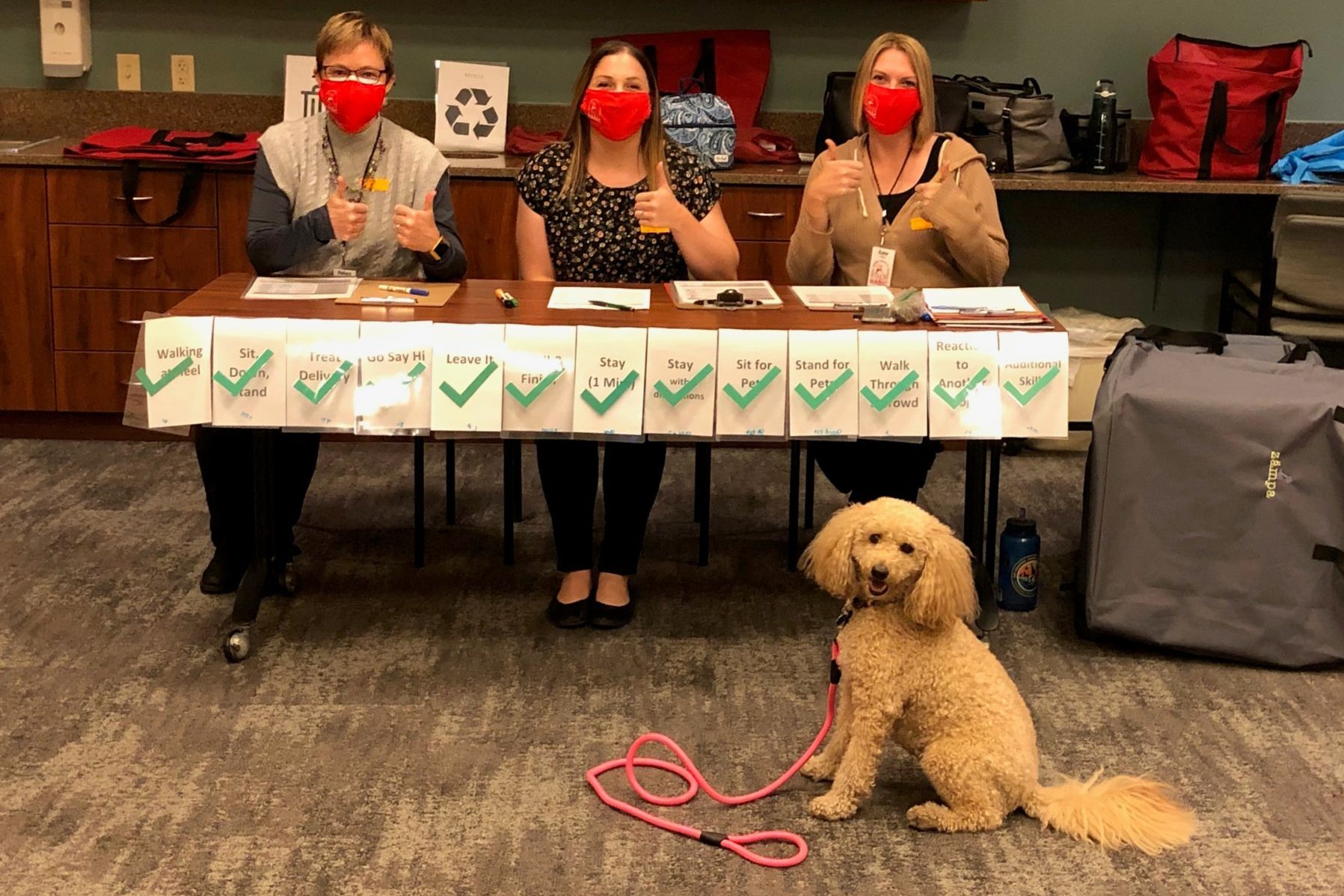 habic staff members certifying a mini golden doodle during the covid pandemic