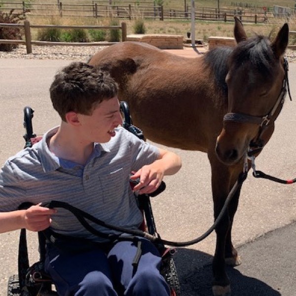 A young man in a wheelchair holds the reigns of a small horse
