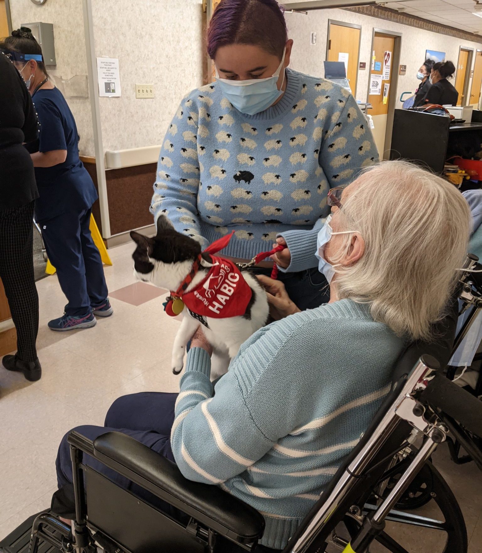 habic volunteer and her cat working with a nursing home resident