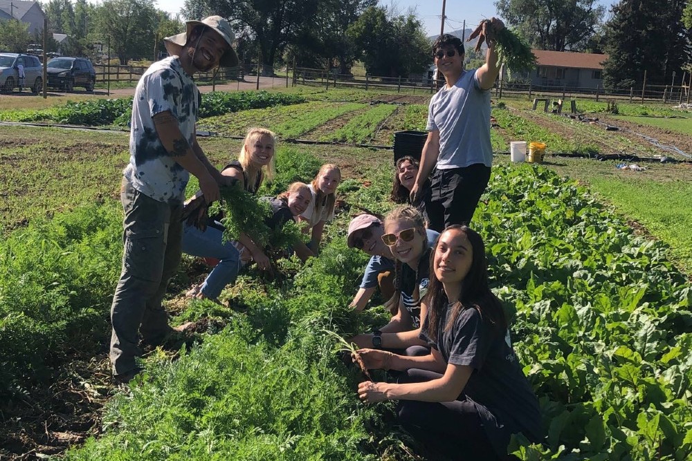 A group of students harvests fresh vegetables in a garden