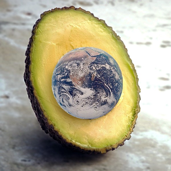 An avocado with the earth as its seed