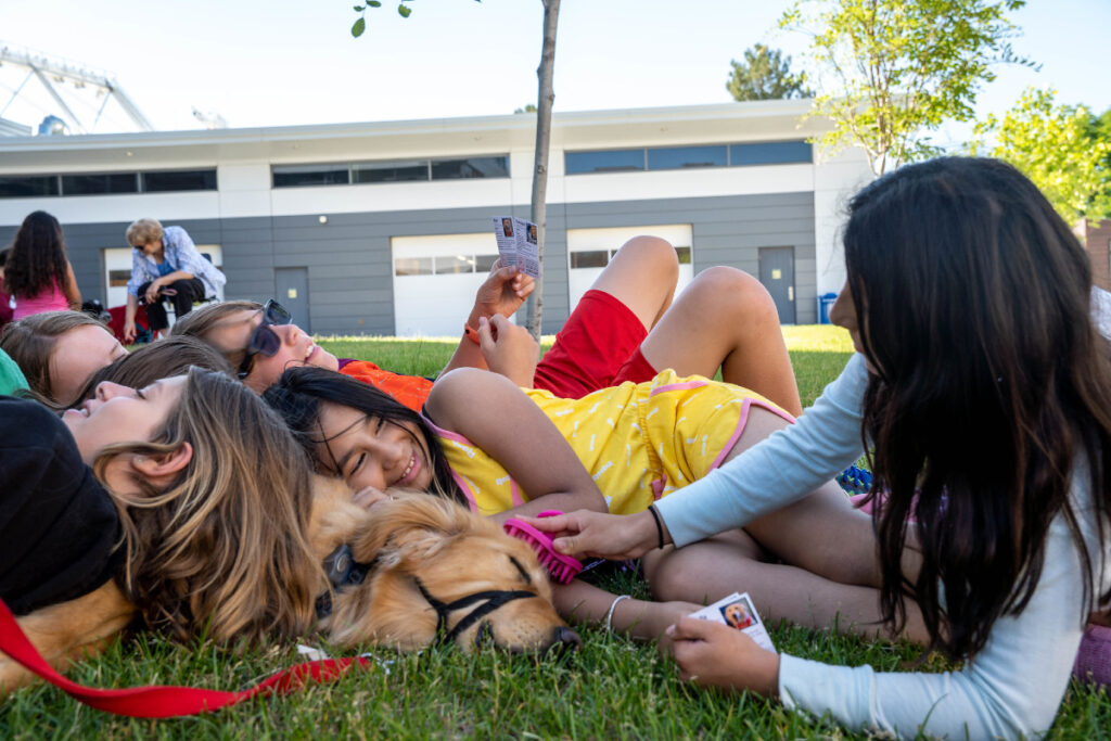 Middle school students are lying on top of a golden retriever and brushing him