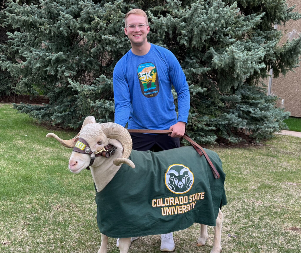 Man with a blue longsleeve stands with a ram
