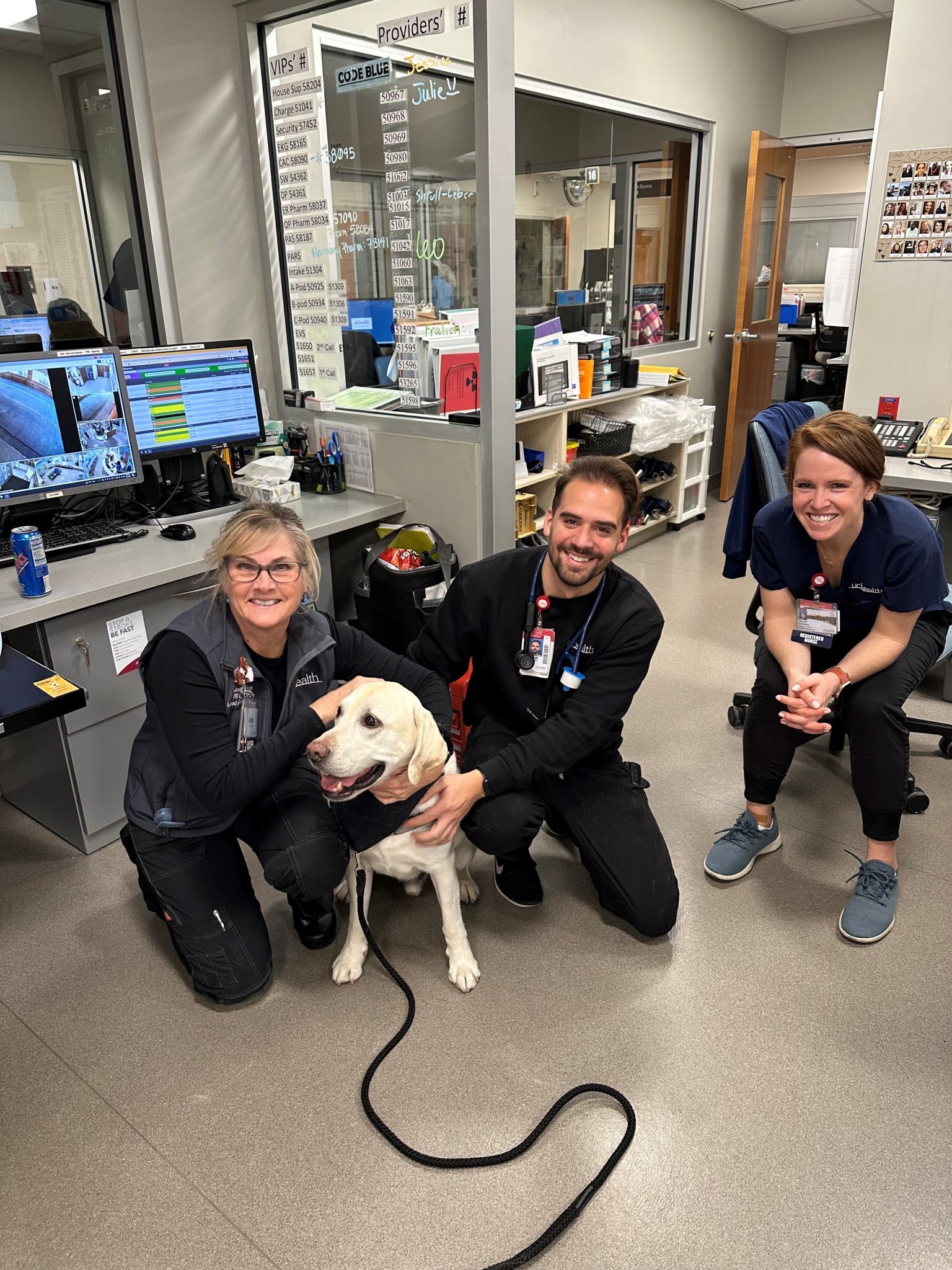 human-animal bond in colorado therapy dog with healthcare workers
